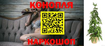 spice Заволжье