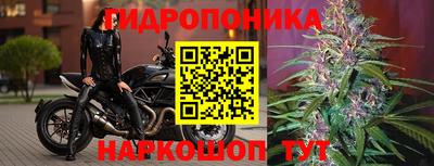 бошки Жуковский