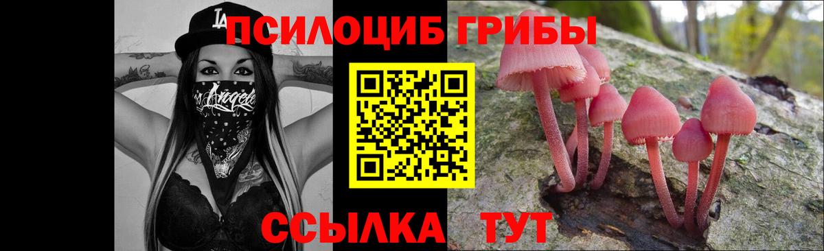 Миллерово  Галлюциногенные грибы Magic Shrooms  Псилоцибиновые грибы Magic Shrooms  Вход с VPN 
